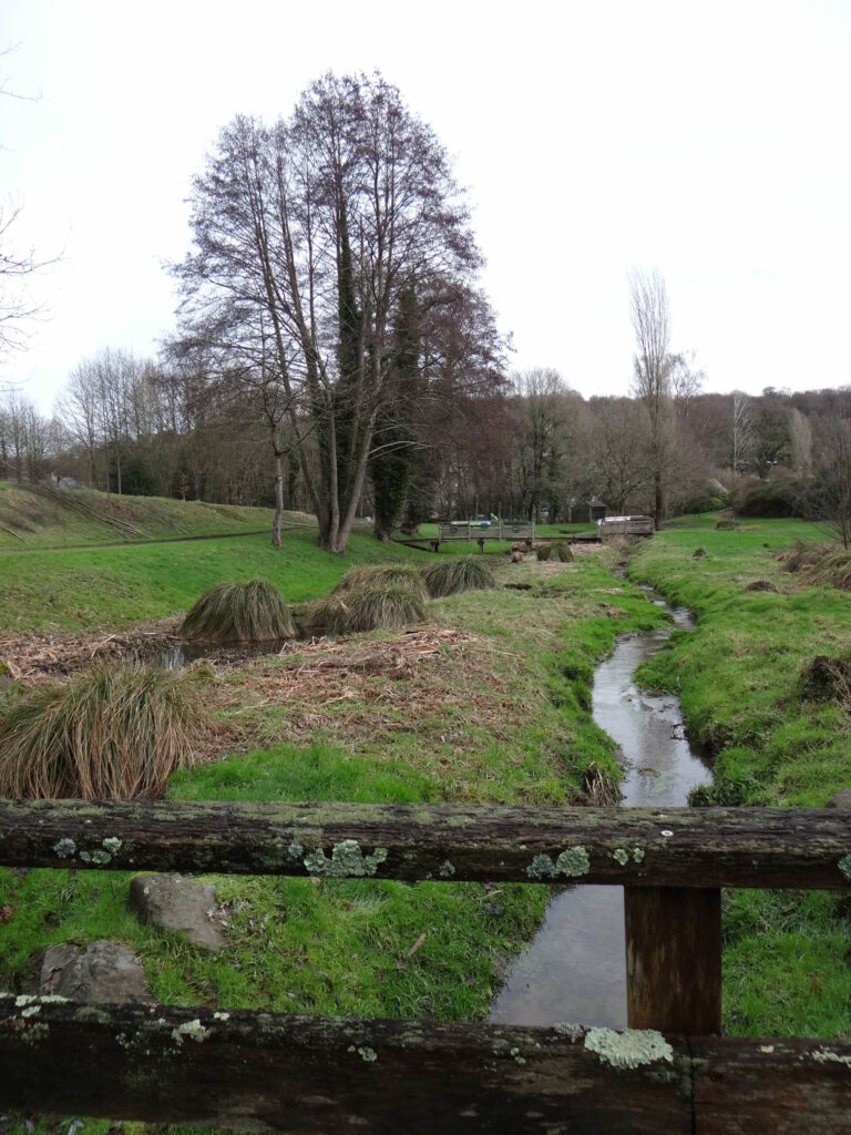 Jardin de l'eau à Saint-Germain-en-Coglès