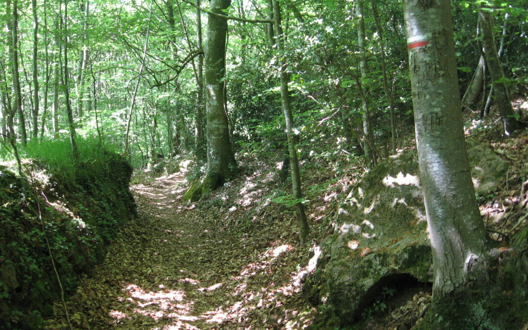 Vers d&rsquo;autres sites Internet