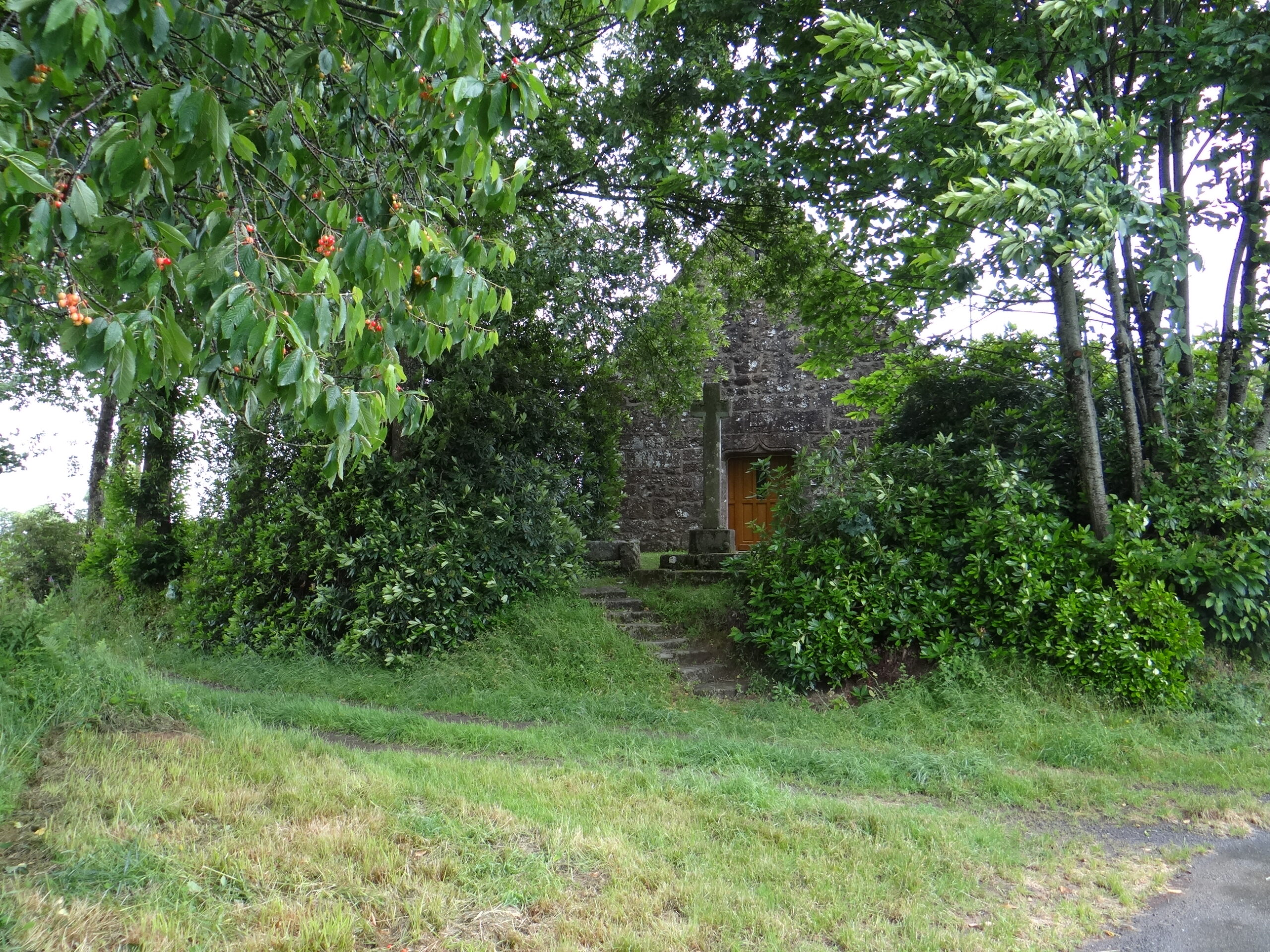 DSC04233