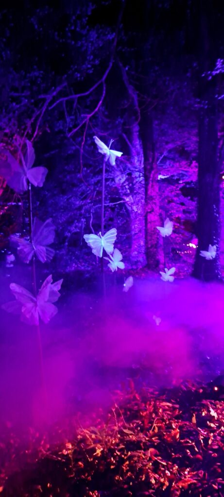 Décor nocturne, féérie automnale au Parc botanique de Haute Bretagne