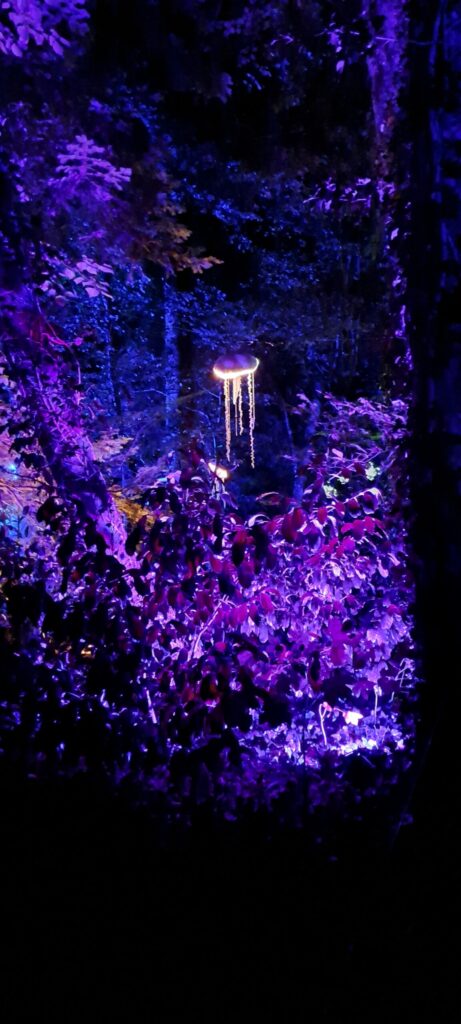 Décor nocturne, féérie automnale au Parc botanique de Haute Bretagne