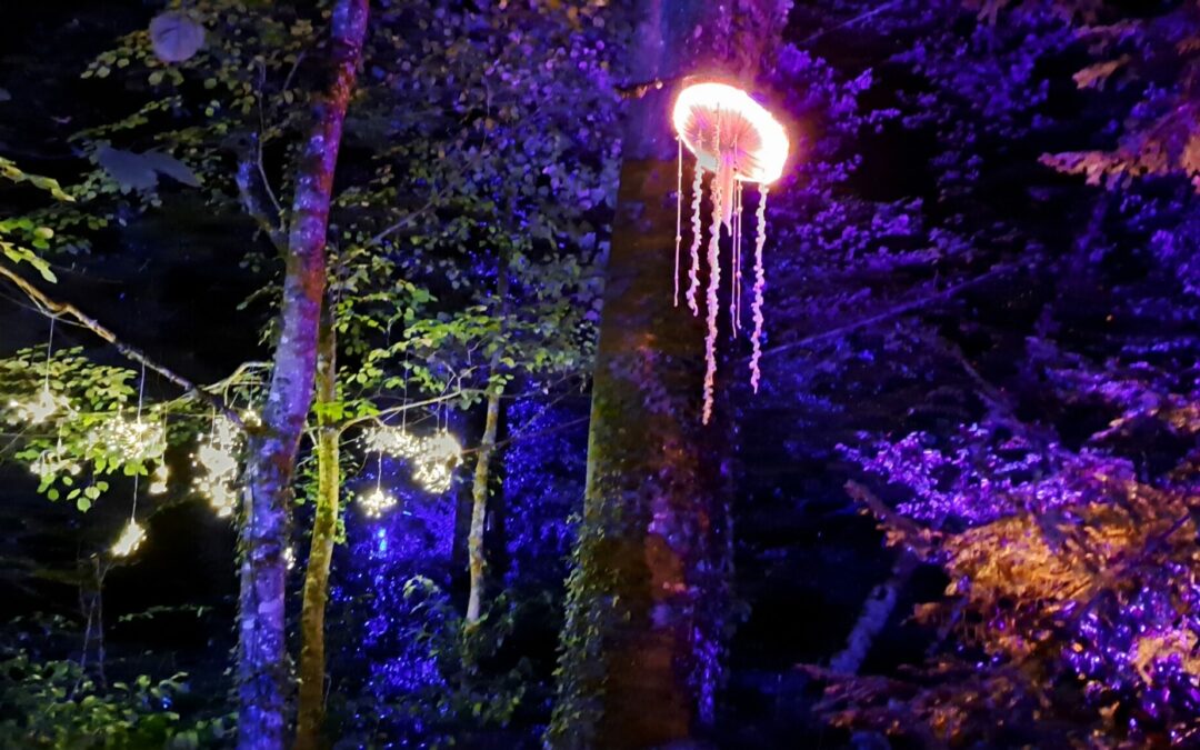 Nocturnes automnales – Parc botanique de Haute Bretagne