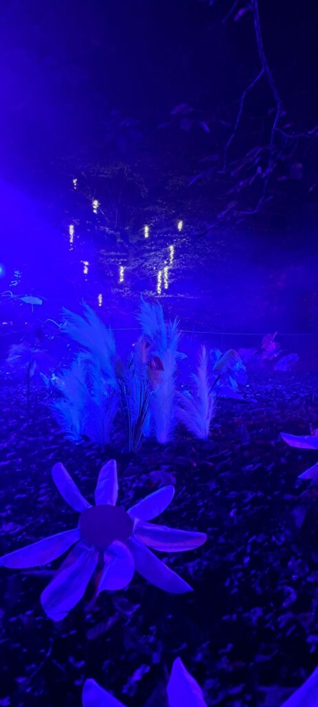 Décor nocturne, féérie automnale au Parc botanique de Haute Bretagne